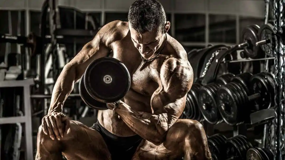 Treino Resistido: Novos achados 2024 1 Treino Resistido: Novos achados 2024